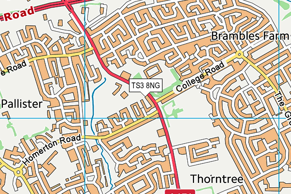 TS3 8NG map - OS VectorMap District (Ordnance Survey)