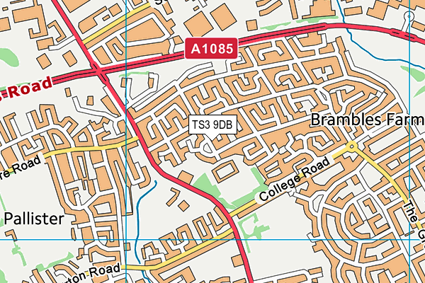 Brambles Primary Academy map (TS3 9DB) - OS VectorMap District (Ordnance Survey)