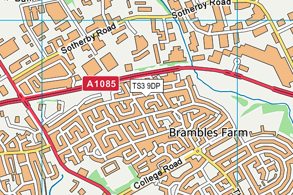 TS3 9DP map - OS VectorMap District (Ordnance Survey)