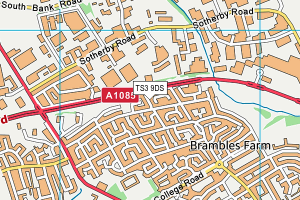 TS3 9DS map - OS VectorMap District (Ordnance Survey)