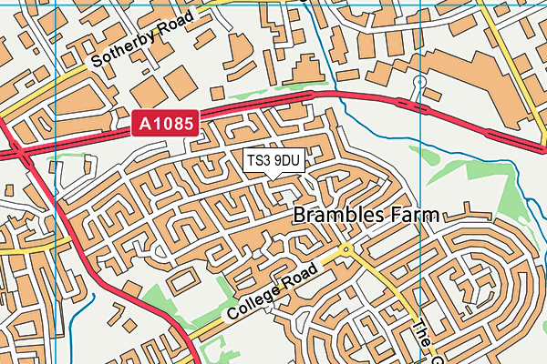 TS3 9DU map - OS VectorMap District (Ordnance Survey)