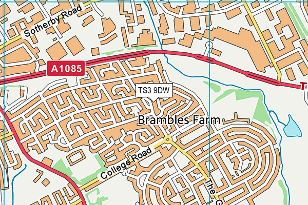 TS3 9DW map - OS VectorMap District (Ordnance Survey)