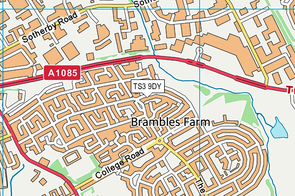 TS3 9DY map - OS VectorMap District (Ordnance Survey)