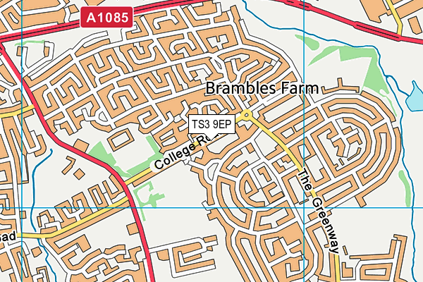 TS3 9EP map - OS VectorMap District (Ordnance Survey)