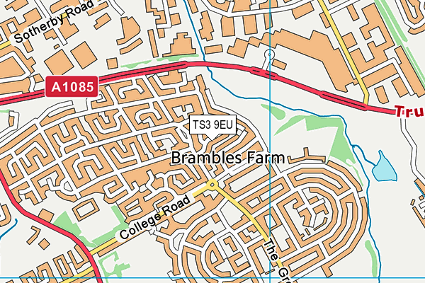 TS3 9EU map - OS VectorMap District (Ordnance Survey)