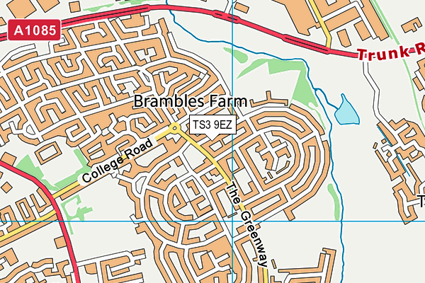 TS3 9EZ map - OS VectorMap District (Ordnance Survey)