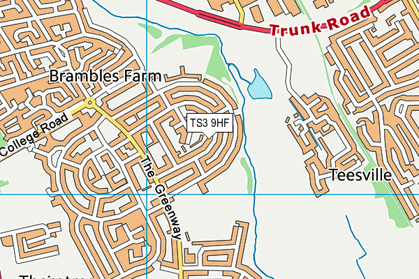 TS3 9HF map - OS VectorMap District (Ordnance Survey)