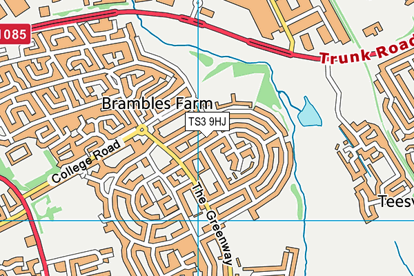 TS3 9HJ map - OS VectorMap District (Ordnance Survey)