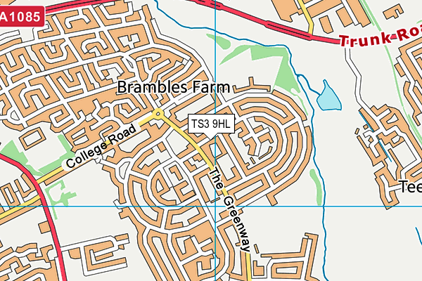 TS3 9HL map - OS VectorMap District (Ordnance Survey)