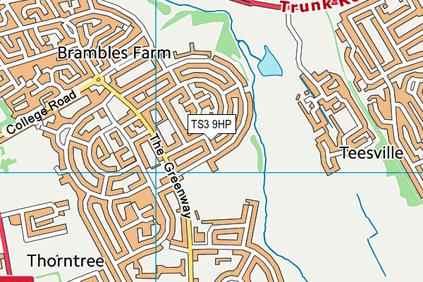 TS3 9HP map - OS VectorMap District (Ordnance Survey)