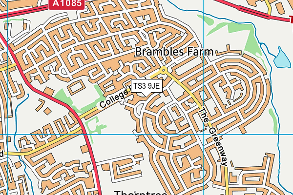 TS3 9JE map - OS VectorMap District (Ordnance Survey)