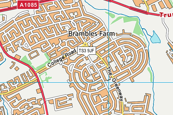 TS3 9JF map - OS VectorMap District (Ordnance Survey)