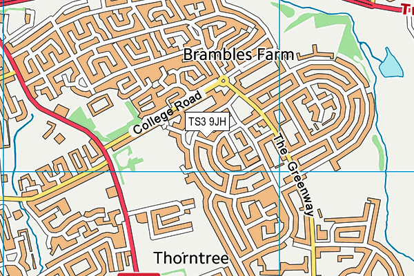 TS3 9JH map - OS VectorMap District (Ordnance Survey)