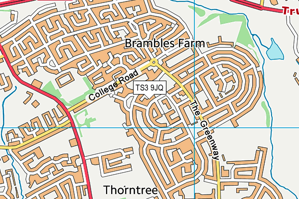 TS3 9JQ map - OS VectorMap District (Ordnance Survey)