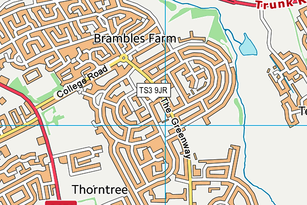 TS3 9JR map - OS VectorMap District (Ordnance Survey)