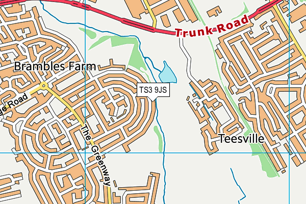 TS3 9JS map - OS VectorMap District (Ordnance Survey)