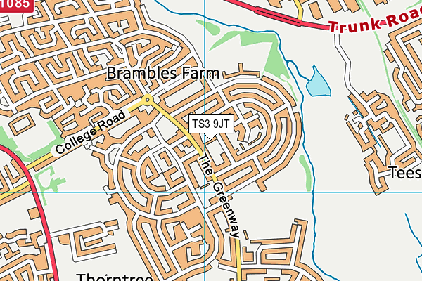 TS3 9JT map - OS VectorMap District (Ordnance Survey)