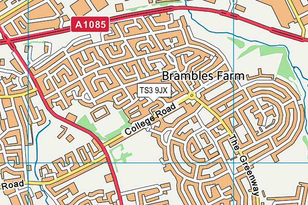 TS3 9JX map - OS VectorMap District (Ordnance Survey)