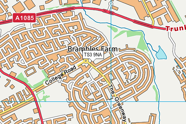 TS3 9NA map - OS VectorMap District (Ordnance Survey)