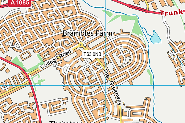 TS3 9NB map - OS VectorMap District (Ordnance Survey)