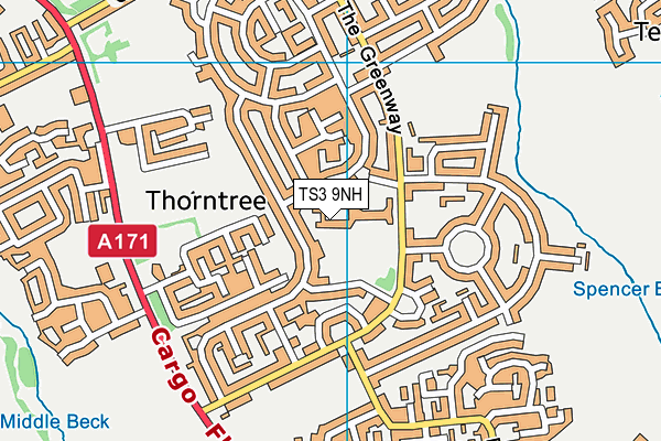 Thorntree Academy map (TS3 9NH) - OS VectorMap District (Ordnance Survey)
