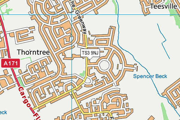 TS3 9NJ map - OS VectorMap District (Ordnance Survey)