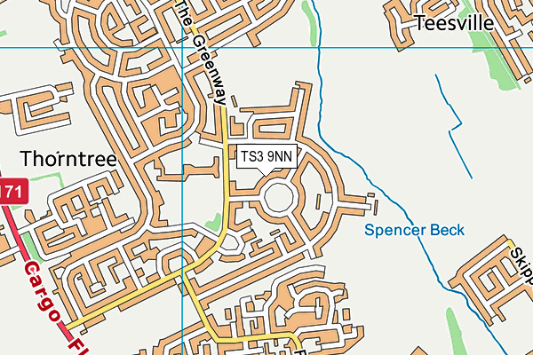 TS3 9NN map - OS VectorMap District (Ordnance Survey)