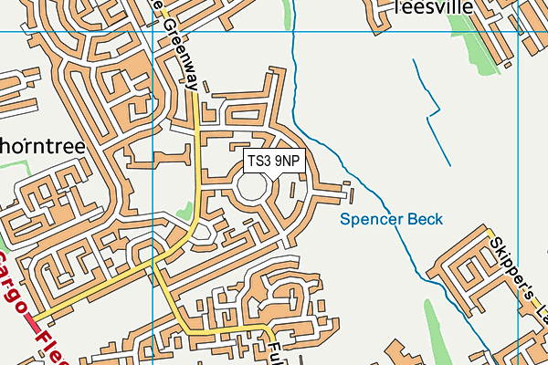 TS3 9NP map - OS VectorMap District (Ordnance Survey)