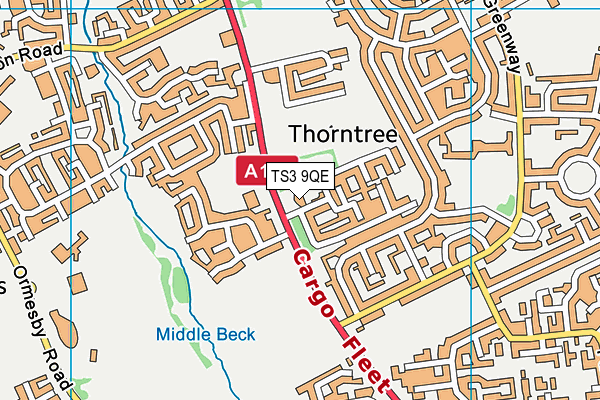 TS3 9QE map - OS VectorMap District (Ordnance Survey)