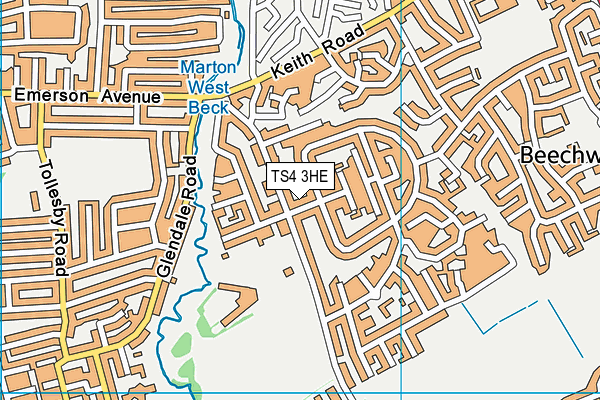 TS4 3HE map - OS VectorMap District (Ordnance Survey)