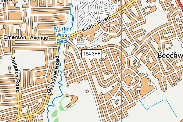 TS4 3HF map - OS VectorMap District (Ordnance Survey)