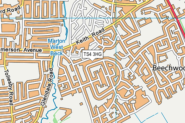 TS4 3HG map - OS VectorMap District (Ordnance Survey)