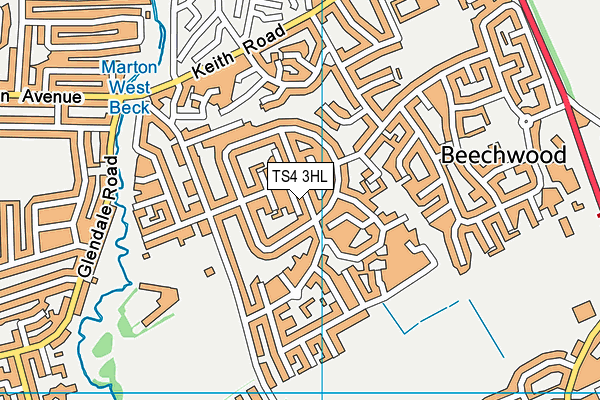 TS4 3HL map - OS VectorMap District (Ordnance Survey)