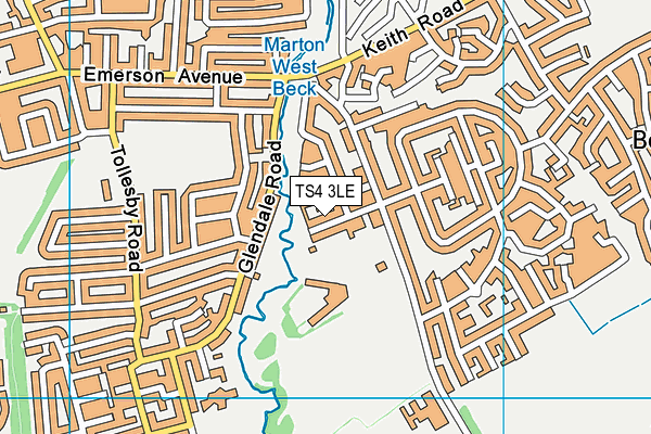 TS4 3LE map - OS VectorMap District (Ordnance Survey)