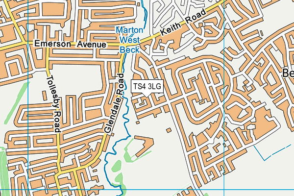 TS4 3LG map - OS VectorMap District (Ordnance Survey)