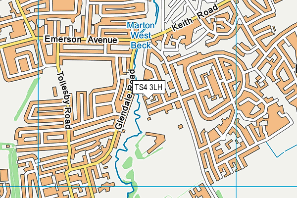 TS4 3LH map - OS VectorMap District (Ordnance Survey)