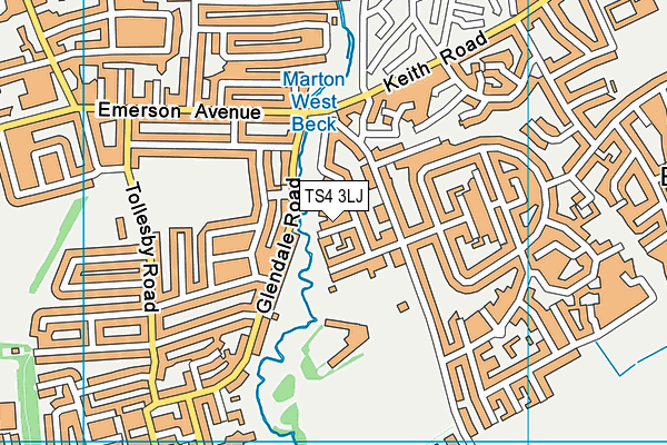 TS4 3LJ map - OS VectorMap District (Ordnance Survey)