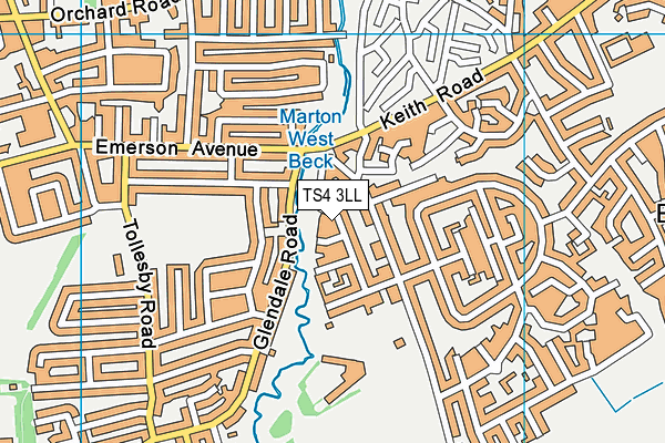 TS4 3LL map - OS VectorMap District (Ordnance Survey)