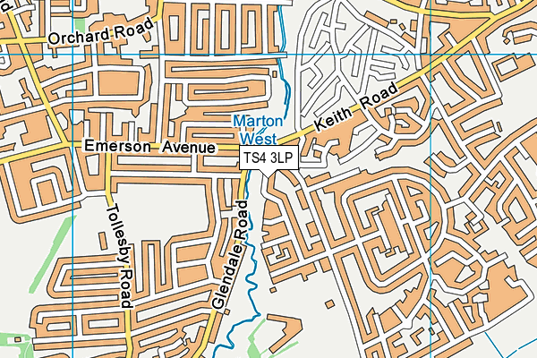 TS4 3LP map - OS VectorMap District (Ordnance Survey)