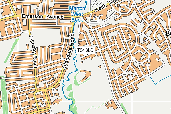 TS4 3LQ map - OS VectorMap District (Ordnance Survey)