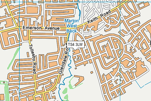 TS4 3LW map - OS VectorMap District (Ordnance Survey)