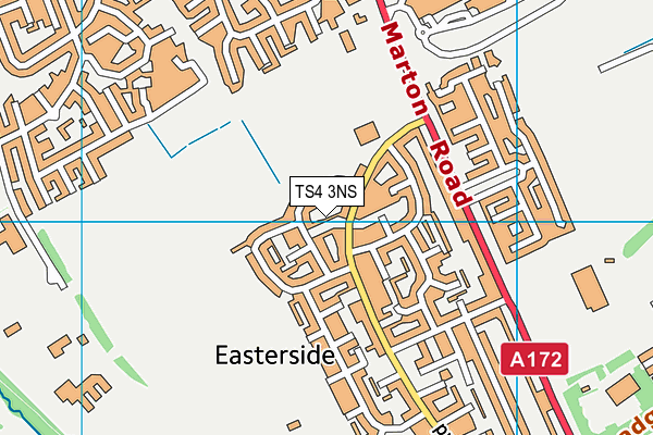 TS4 3NS map - OS VectorMap District (Ordnance Survey)