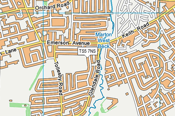 TS5 7NS map - OS VectorMap District (Ordnance Survey)