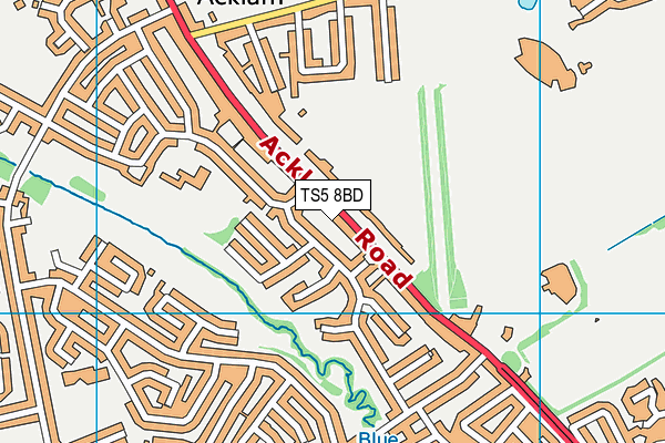 TS5 8BD map - OS VectorMap District (Ordnance Survey)