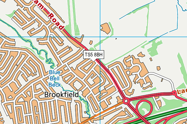 TS5 8BH map - OS VectorMap District (Ordnance Survey)