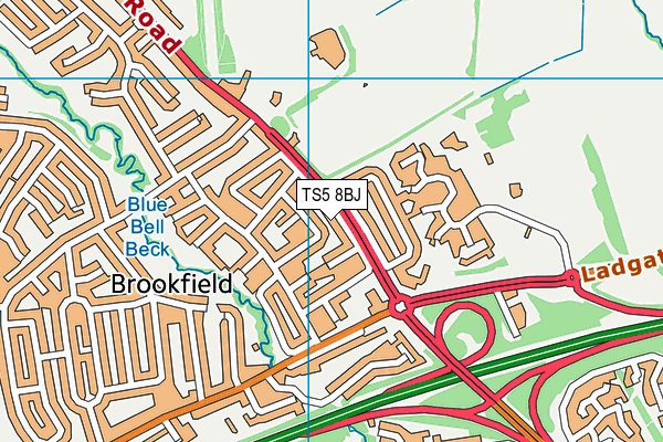 TS5 8BJ map - OS VectorMap District (Ordnance Survey)