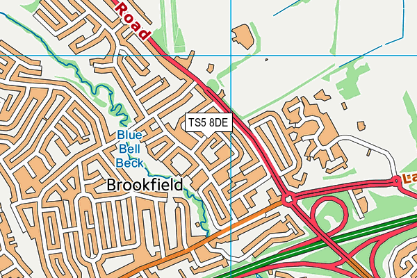 TS5 8DE map - OS VectorMap District (Ordnance Survey)