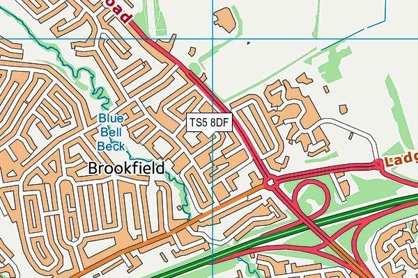 TS5 8DF map - OS VectorMap District (Ordnance Survey)