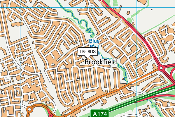 TS5 8DS map - OS VectorMap District (Ordnance Survey)