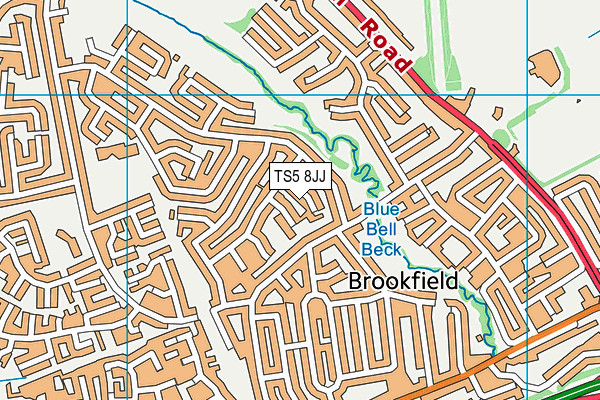 TS5 8JJ map - OS VectorMap District (Ordnance Survey)